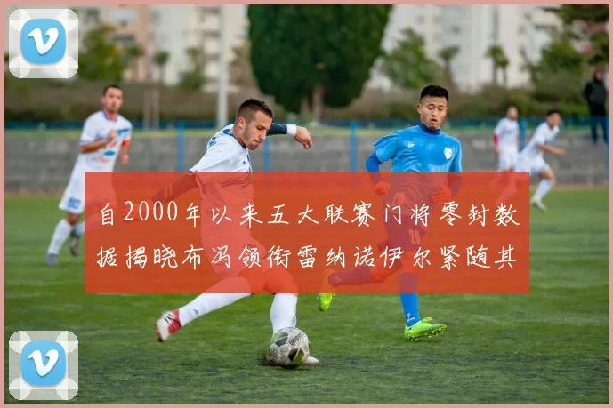 自2000年以来五大联赛门将零封数据揭晓布冯领衔雷纳诺伊尔紧随其后
