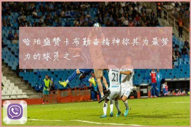 哈珀盛赞卡布勤奋精神称其为最努力的球员之一